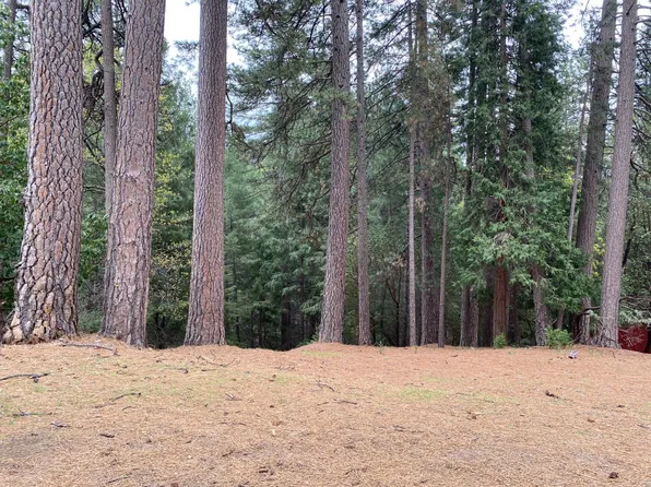 25350 Sugar Pine Dr, Pioneer, CA 95666