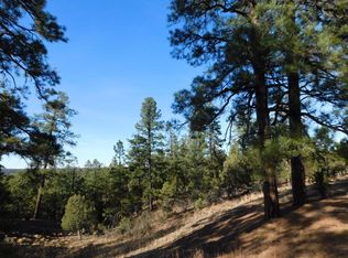 2831 Condor Ln, Overgaard, AZ 85933