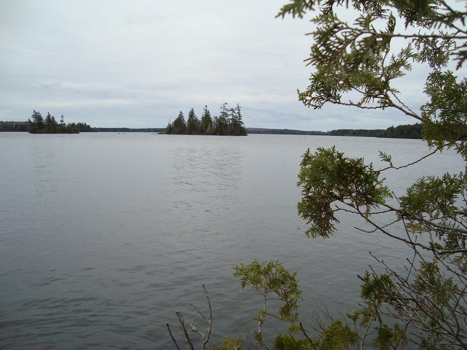 Lot E Birch Point Road, Meddybemps, ME 04657 MLS 1563343 Zillow