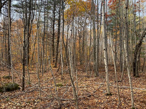 3rd image of LOT 10 Zachary Drive