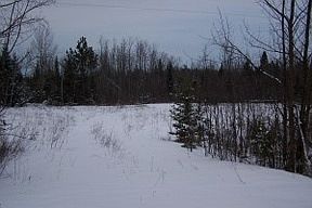5th image of 17673 Town Hall Hwy