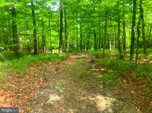 Doman Ridge Rd, Springfield, WV 26763