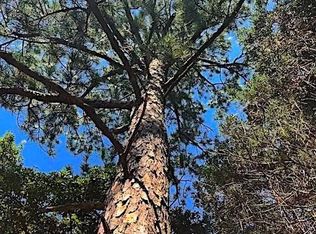 146 Meuth Cemetery Rd, Red Rock, TX 78662