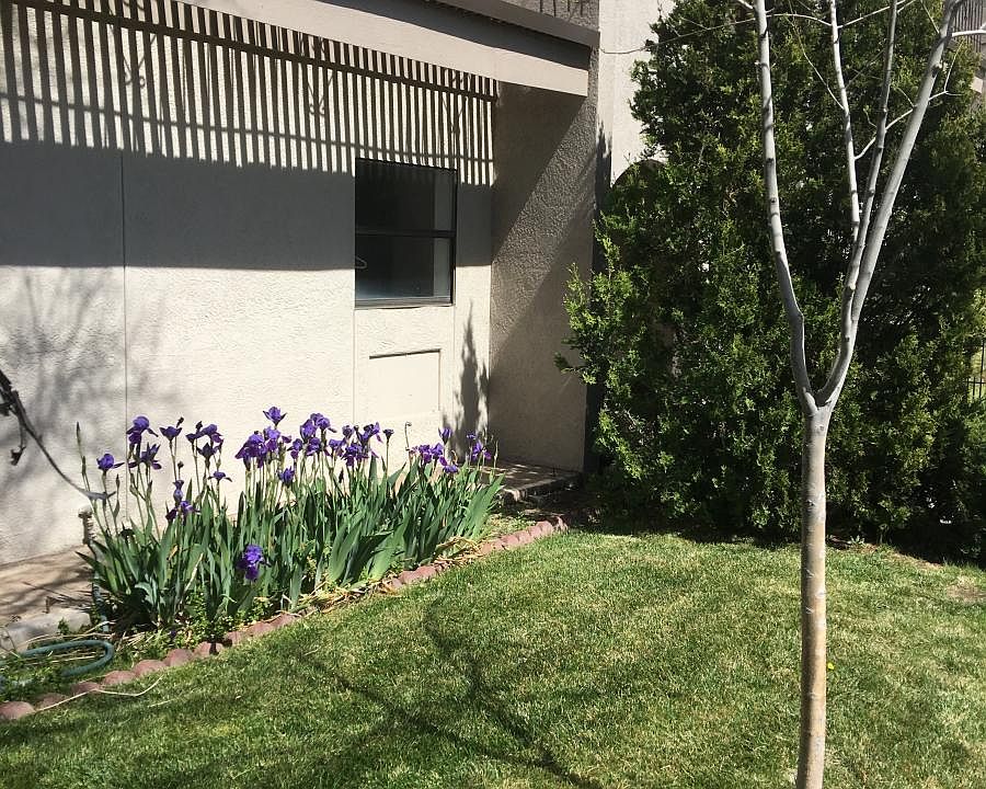 1st image of 200 Hermosa Dr NE APT 200