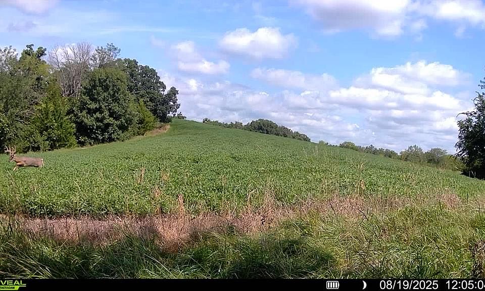 1st image of (Undisclosed Address)