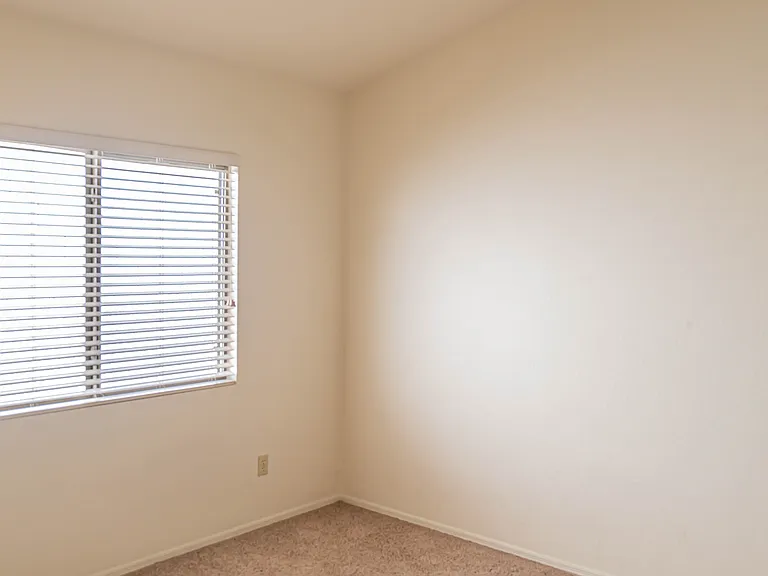 11146 N Desert Flower Dr — Photo 11