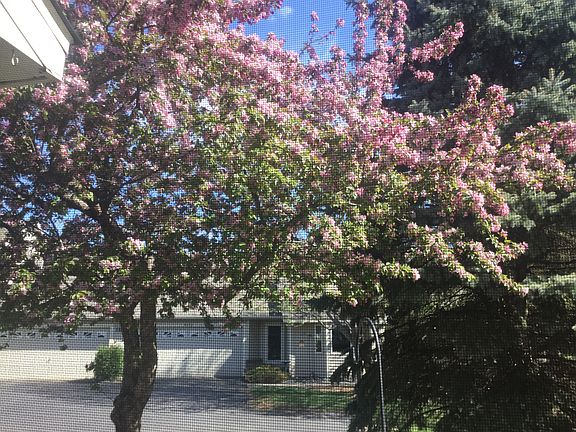 3rd image of 4448 Park Ct