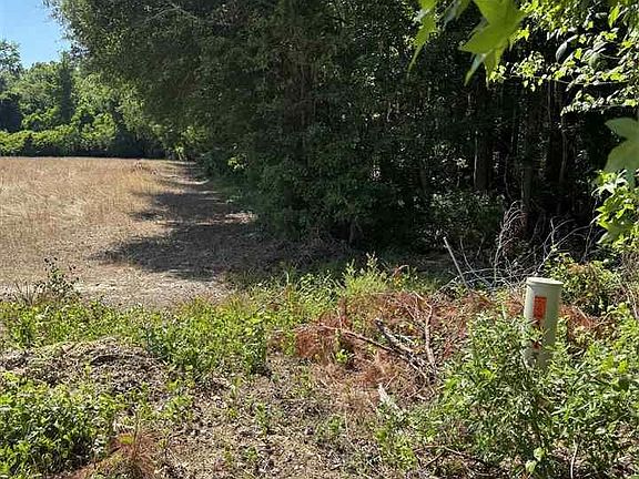 3rd image of Lum Vereen Rd