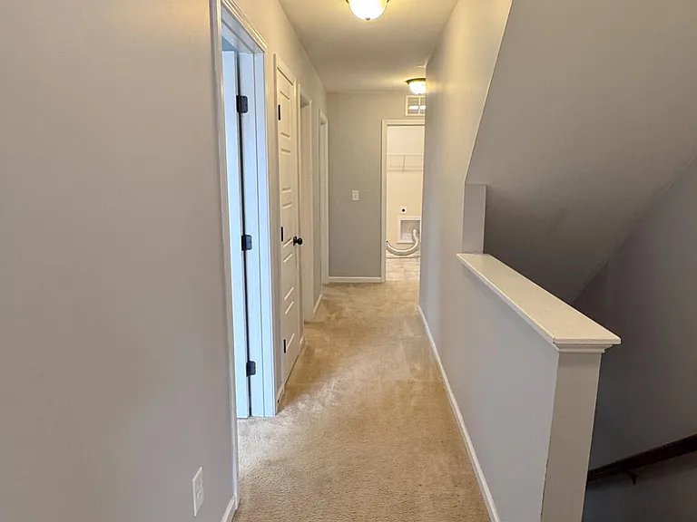 429 Bald Cypress Ln — Photo 19