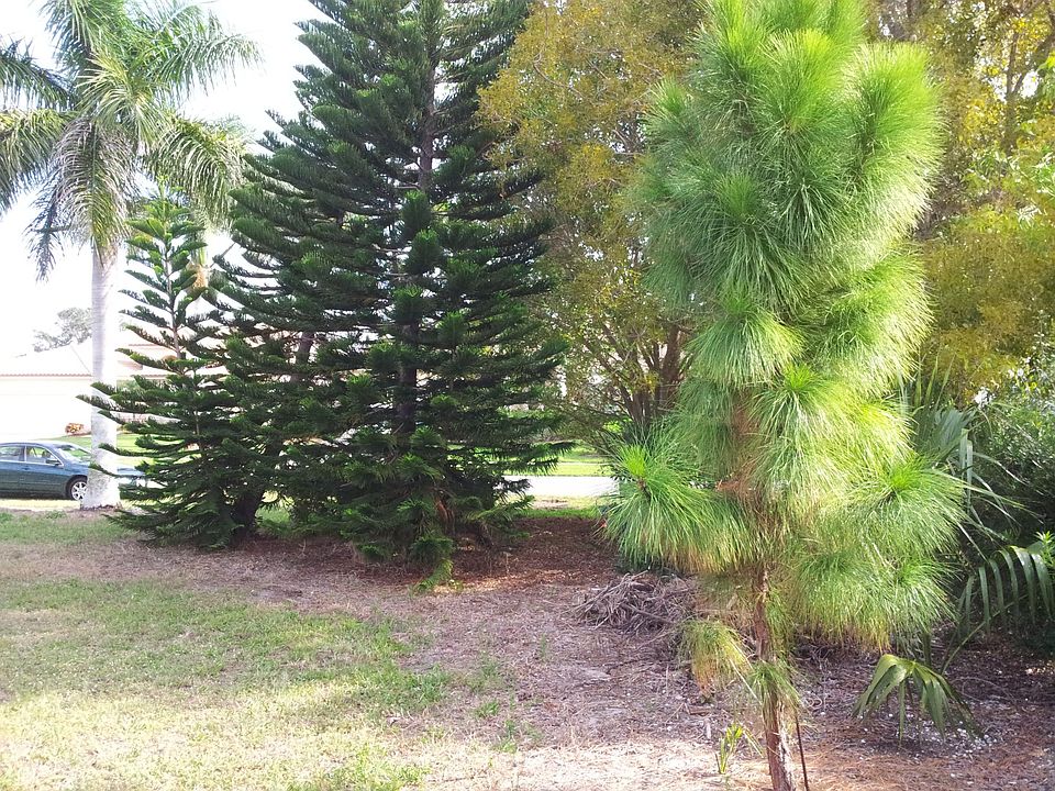 Private oasis