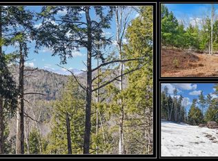 L16 Mountain Meadows Road, Adirondack, NY 12860