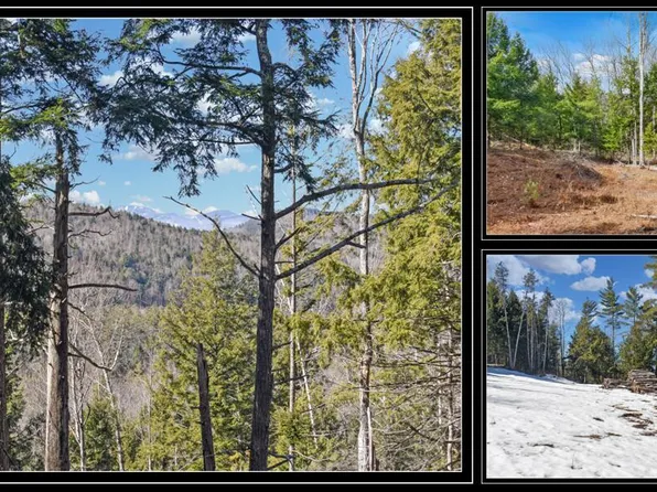 L16 Mountain Meadows Road, Adirondack, NY 12860