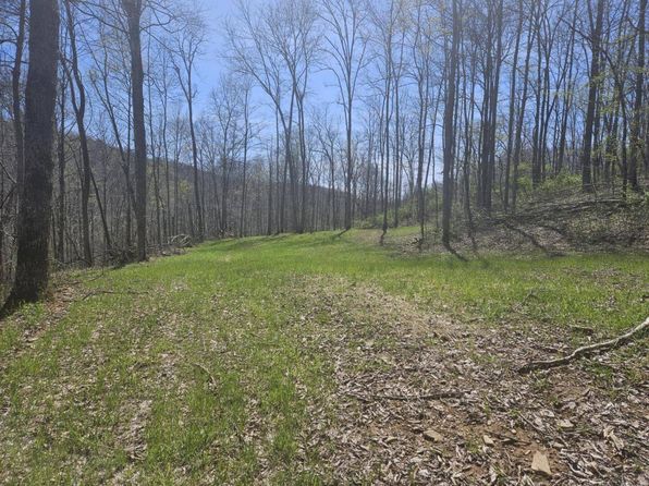 0 Tanner Fork Rd, Shock, WV 26638