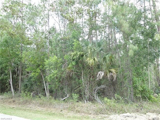 Nicelyly Wooded