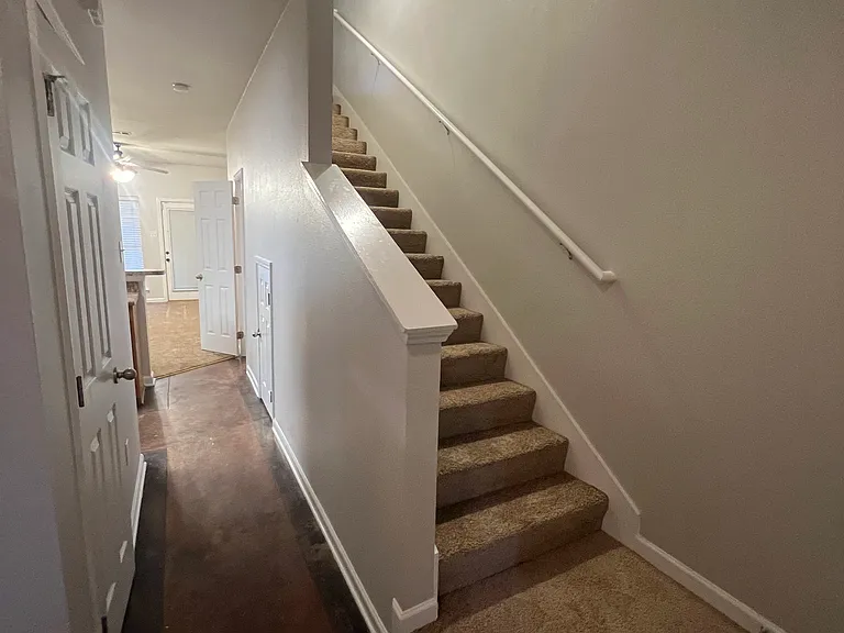 1900 Carrollwood Dr #3 — Photo 35