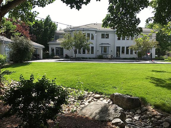 Back yard 