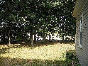 back yard