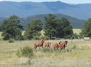 14573 S Wandcrest Dr, Pine, CO 80470