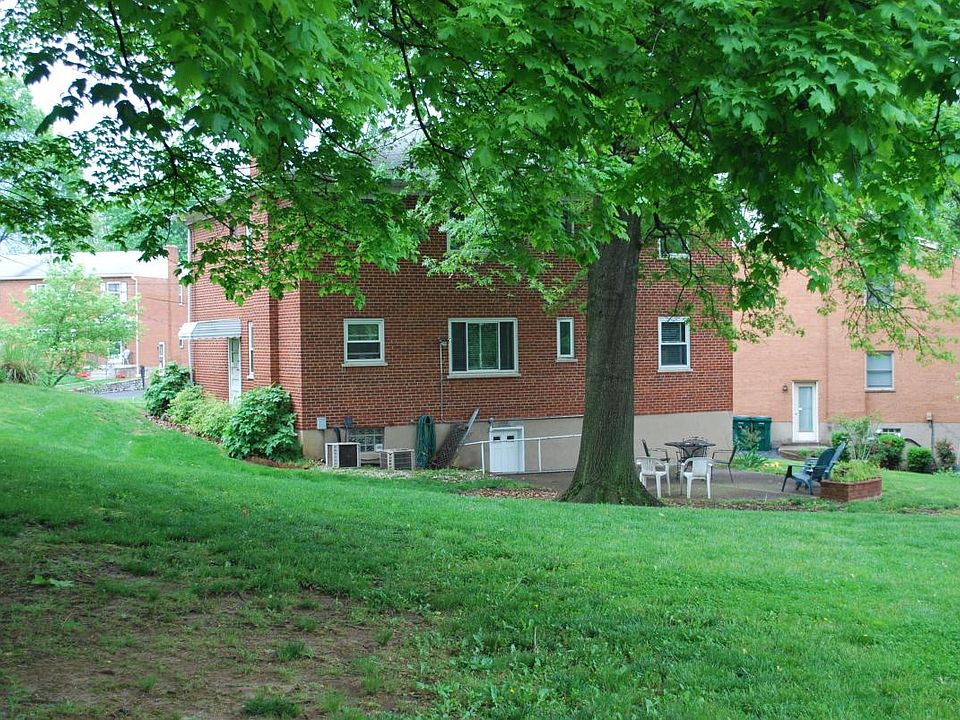 Back yard photo 