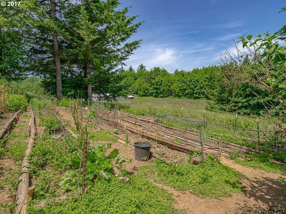 Garden.
