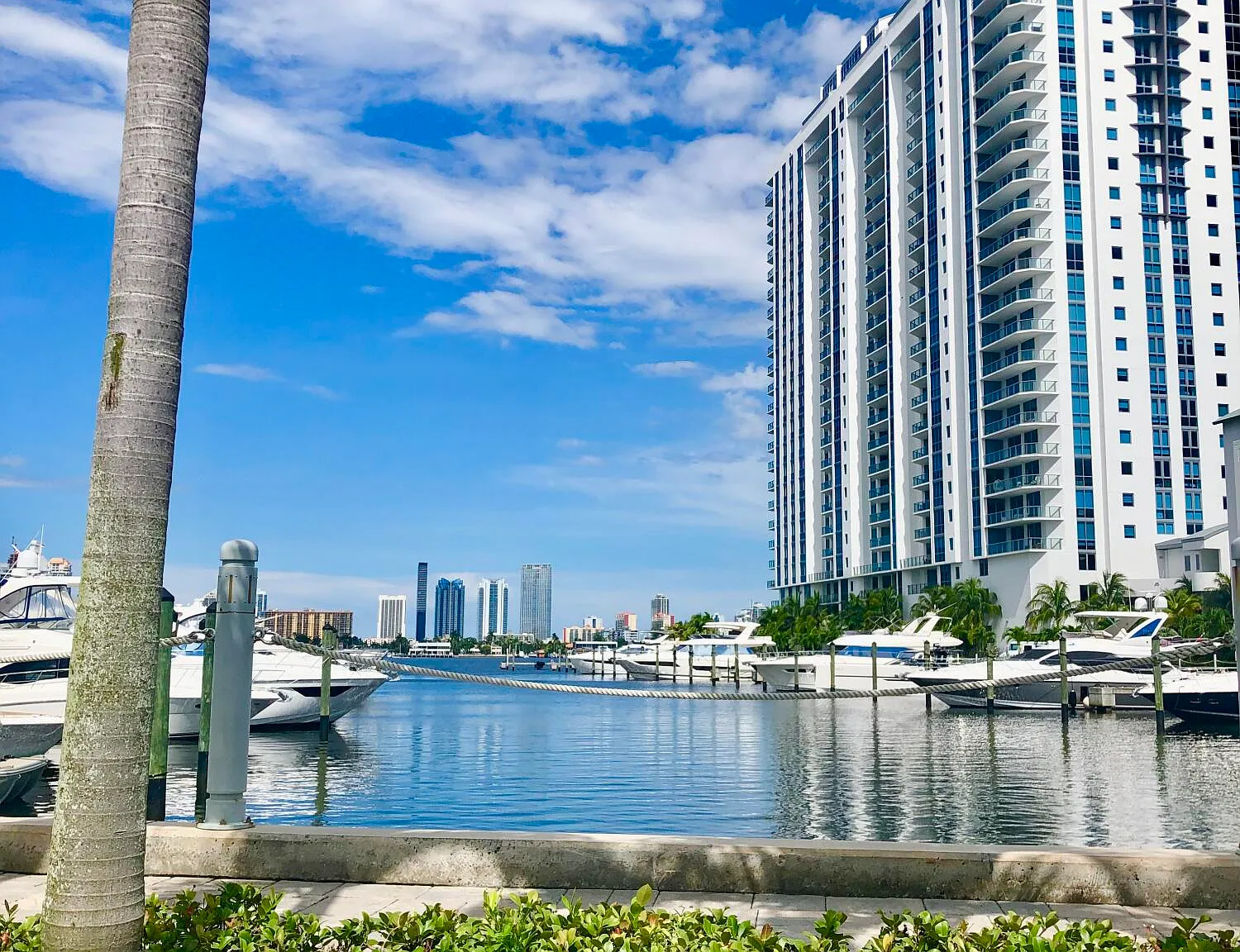 2 bed, 2.0 bath, 1459 sqft, $6,500 — Photo 1