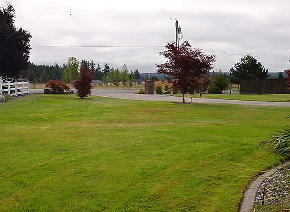 Front yard facing east