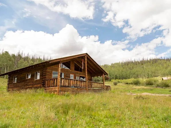 1001 CR 17 #Willow Cabin, Lake City, CO 81235