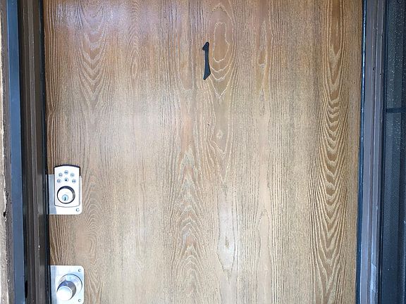 Front door with electronic locking system 