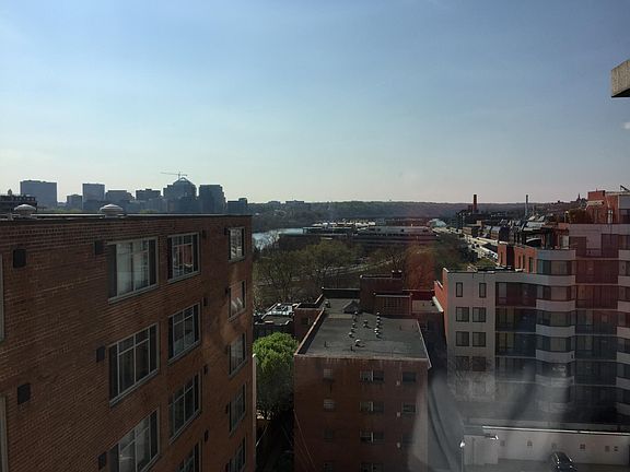 View from Picture Window
