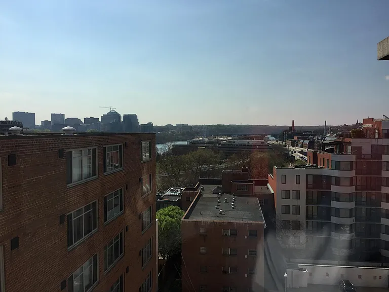 View from Picture Window