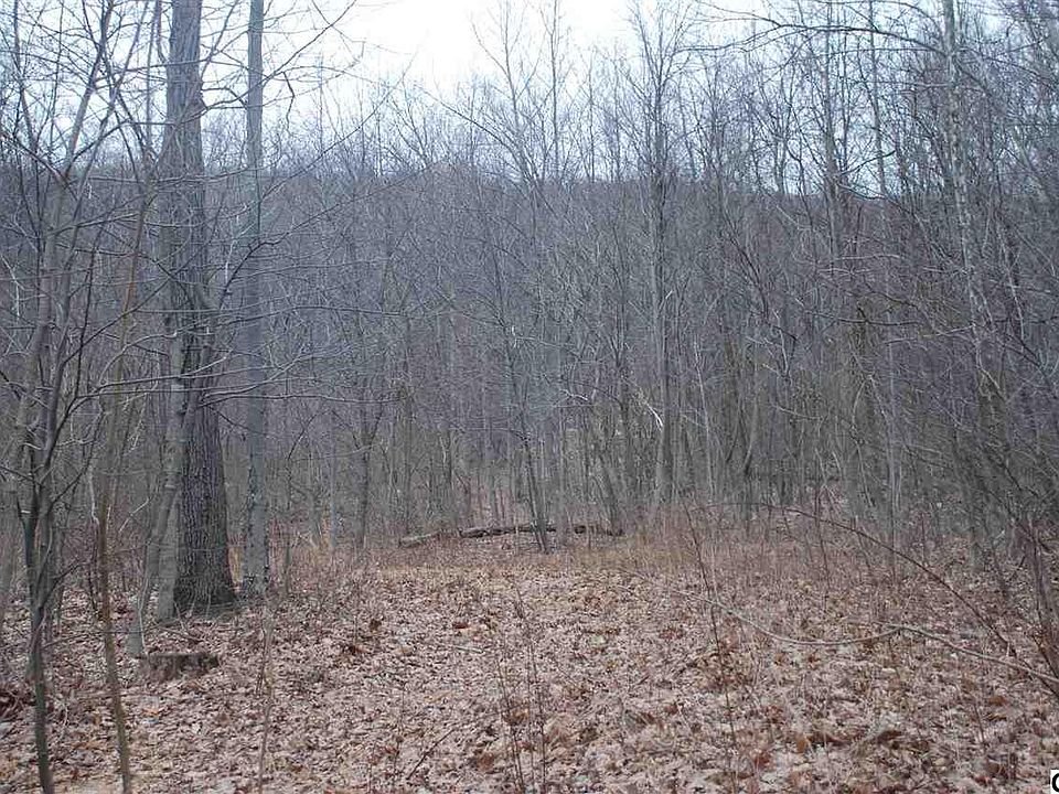 2nd image of 1627 Mountain Rd
