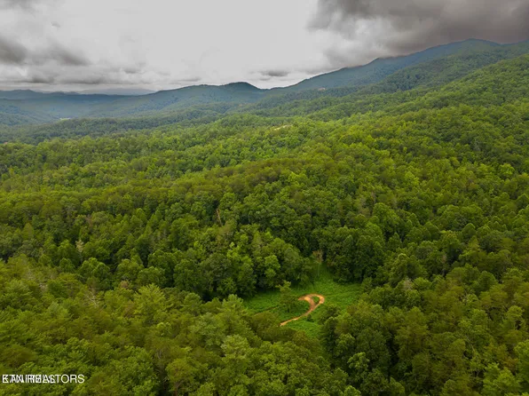 Azalea Tr, Sevierville, TN 37876