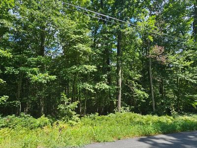 LOT 23.23 Perry Pond Rd, Narrowsburg, NY, 12764