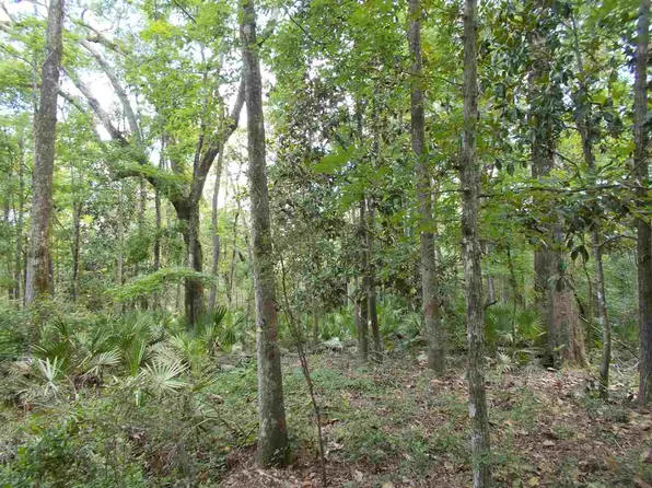 0 Mount Beasor Rd #0, Sopchoppy, FL 32358