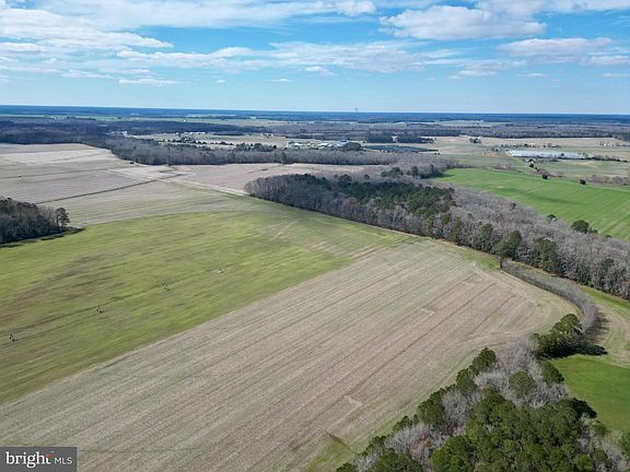 5th image of 0 Blake Rd