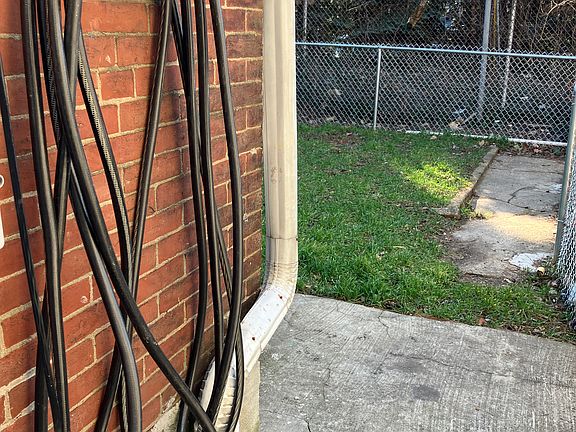 Garden hose, back yard