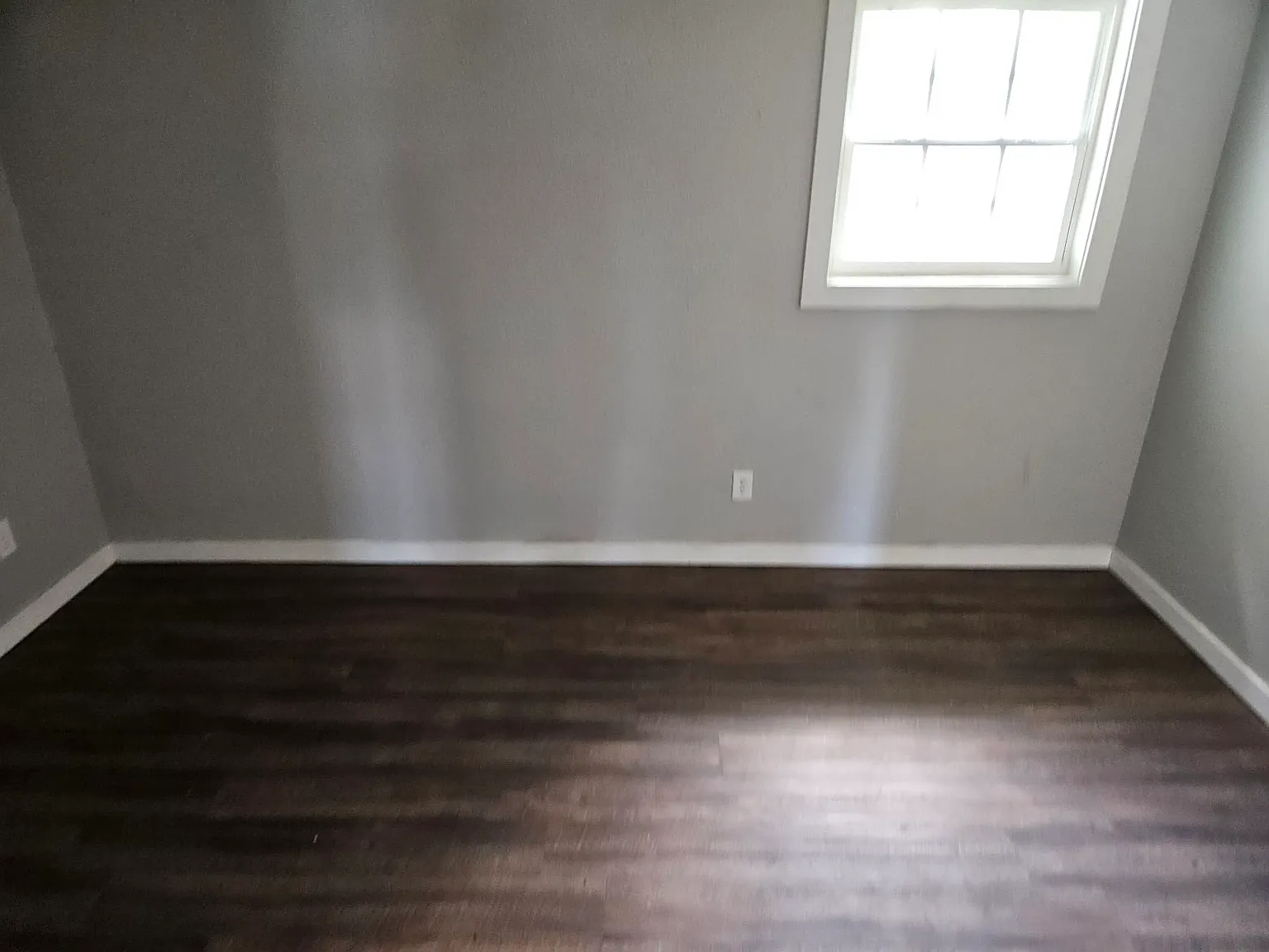 1 bed, $700 — Photo 2