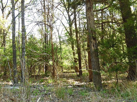 2nd image of Tbd17 Dogwood Dr