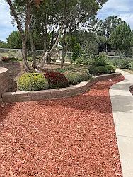 Side back yard area. Now has flagstone as well.