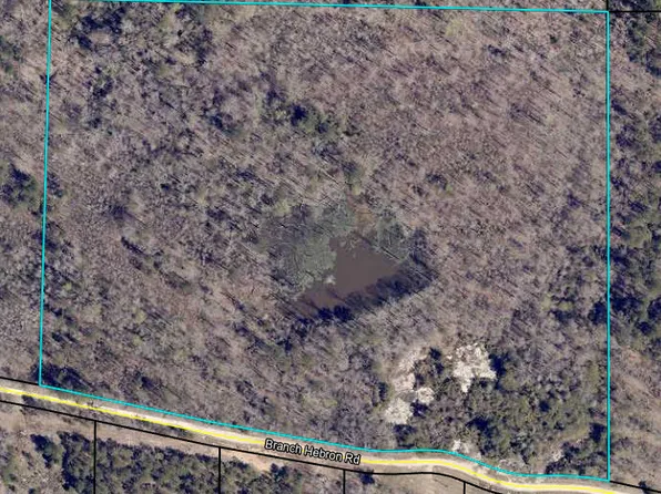 0 Branch Hebron Rd, Greenville, GA 30222