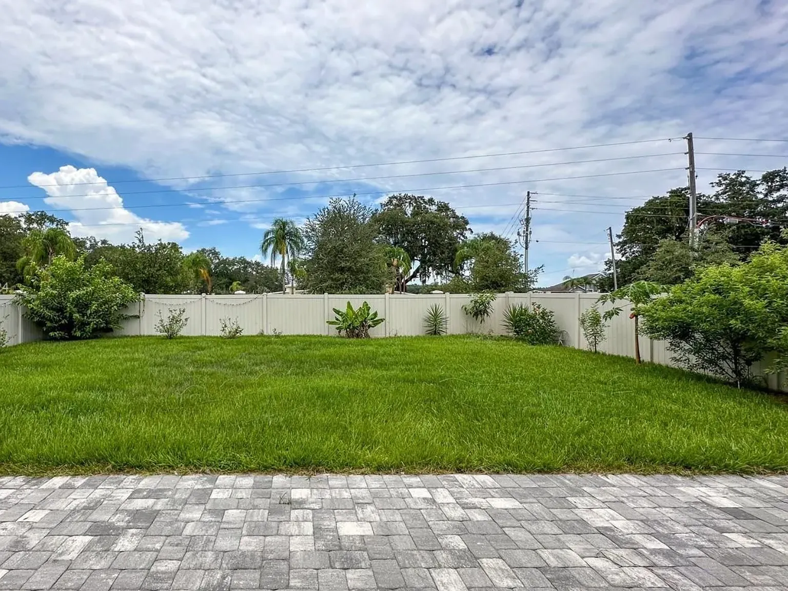 1 bed, 1405 sqft, $750 — Photo 2