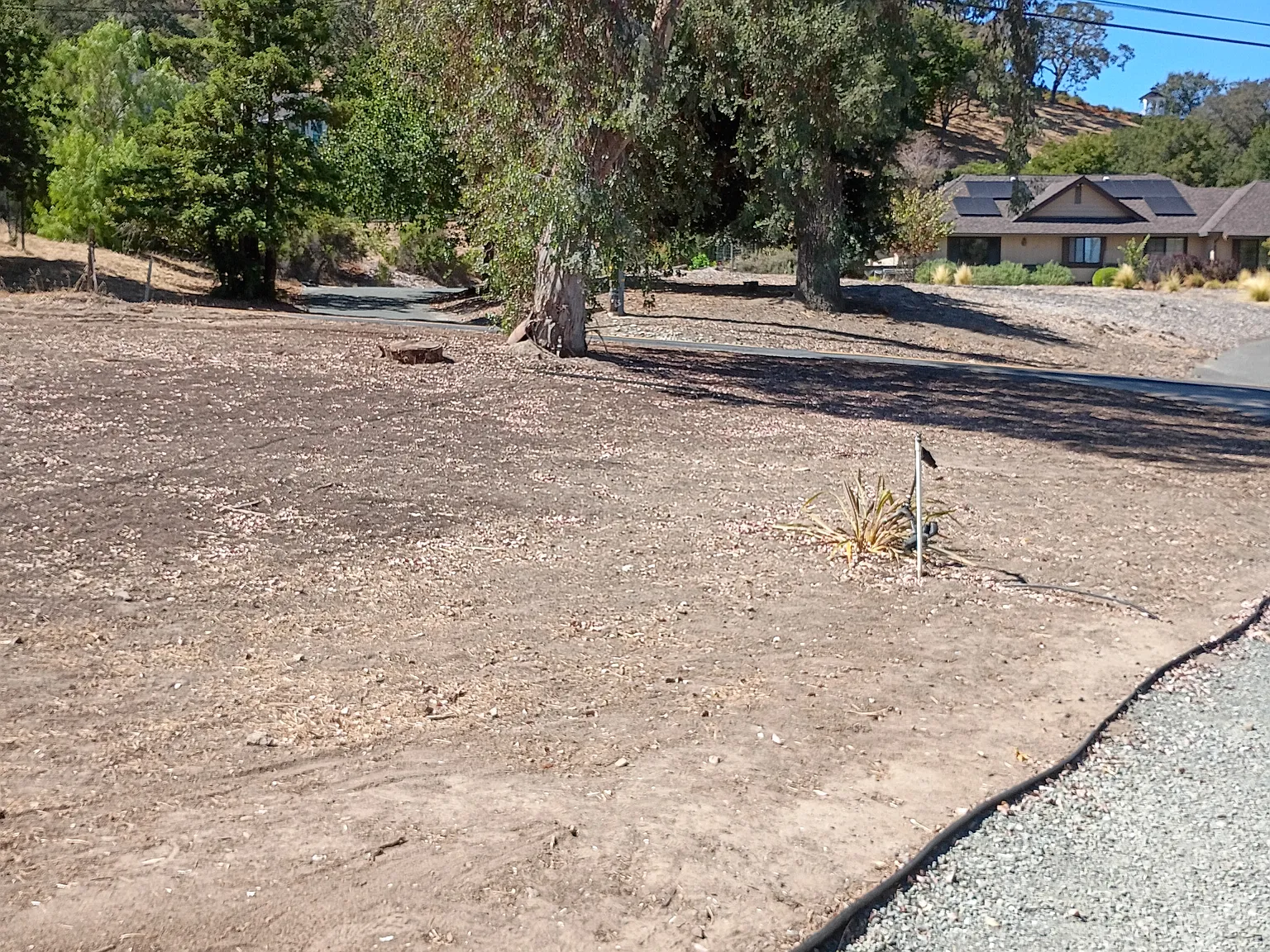 4 bed, 2400 sqft, $6,000 — Photo 3