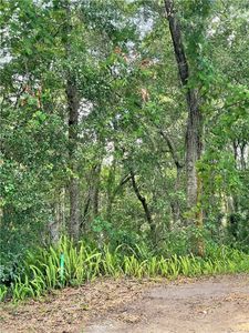 0 N 9th St, Fernandina Beach, FL, 32034