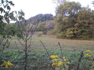 33 Lightplant Rd, Golconda, IL 62938