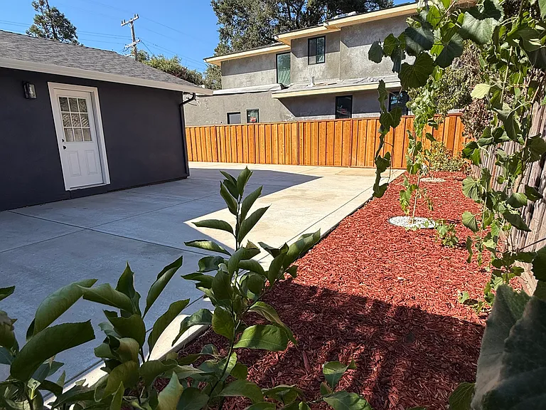 Backyard