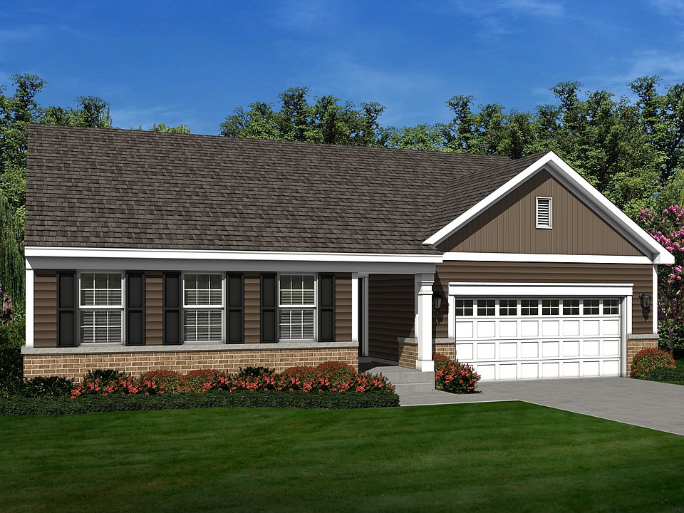 Elevation Image 0.
