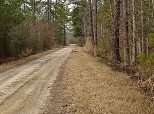 22853 Muddy Hole Rd, Tyaskin, MD 21865