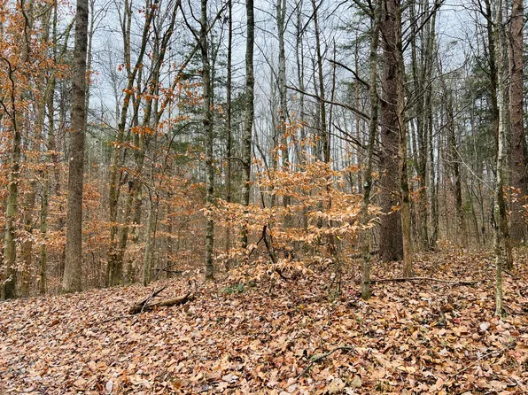 320 Smith McClees Rd, Monticello, KY 42633