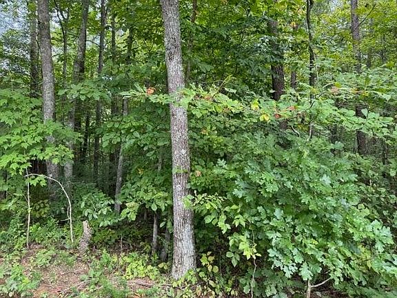 4th image of 0 Vixen Way Lot 0