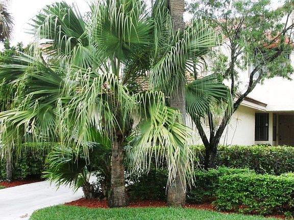 View from the Street